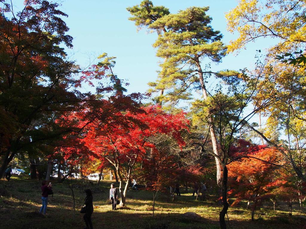 Inn Yokotei Nagatoro  Exteriér fotografie
