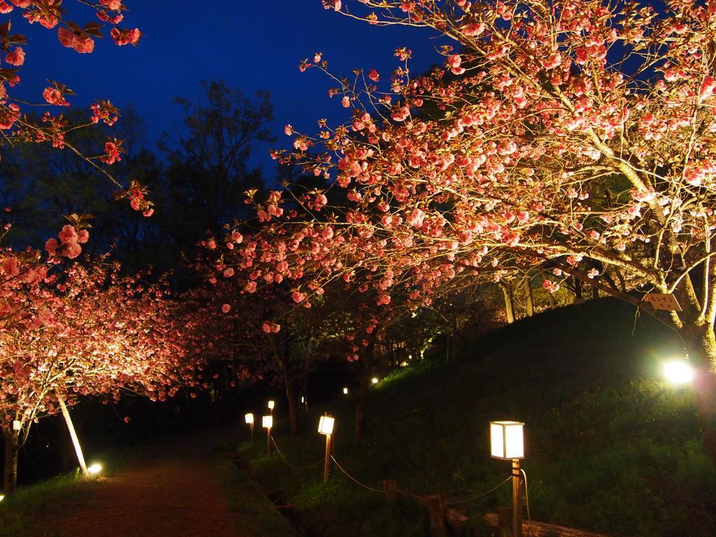 Inn Yokotei Nagatoro  Exteriér fotografie